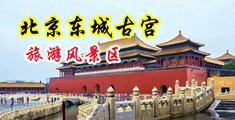 男人的鸡巴使劲戳女人的小穴无马赛克中国北京-东城古宫旅游风景区